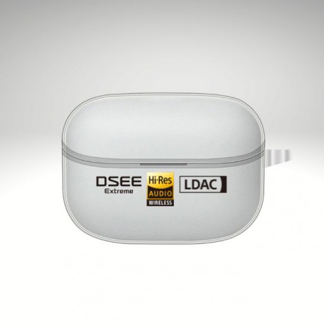 เคส FenixShield Graffiti Series TPU สำหรับ Sony LinkBuds WF-L900 / LinkBuds S WF-LS900N