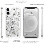 ( ของแท้ ) เคส Switcheasy Flash สำหรับ iPhone 12 / 12 Pro / 12 Pro Max [ Conch ] 